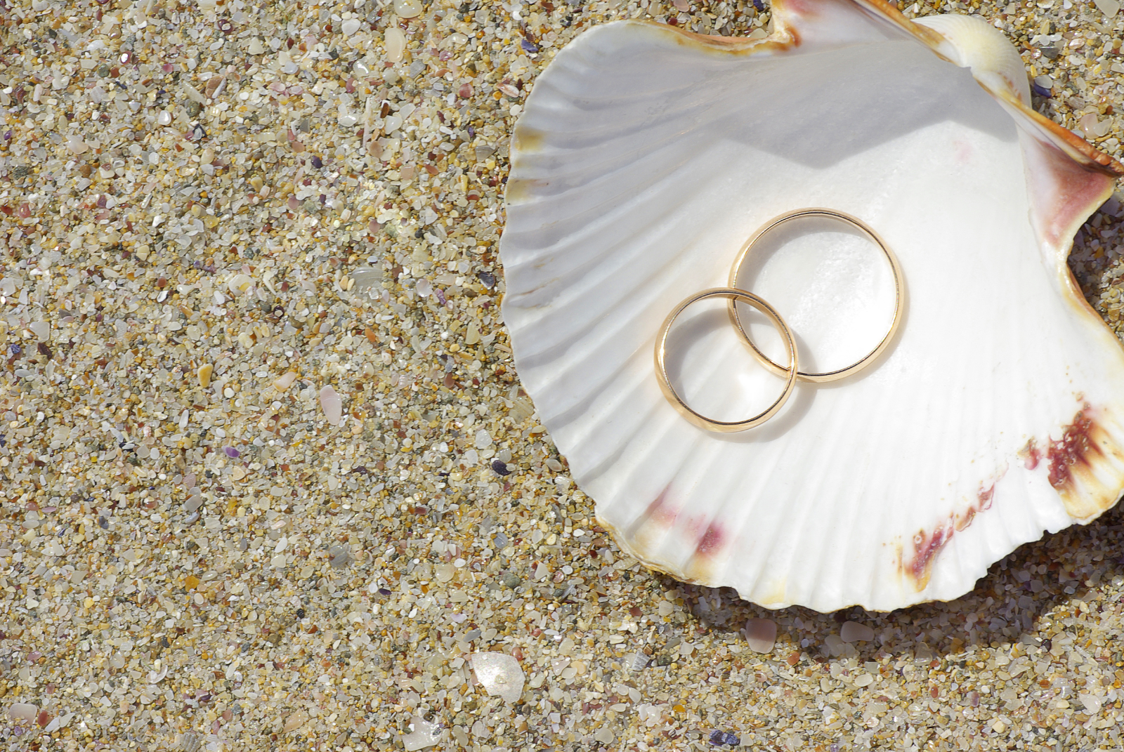 Tips For A Perfect Beach Proposal